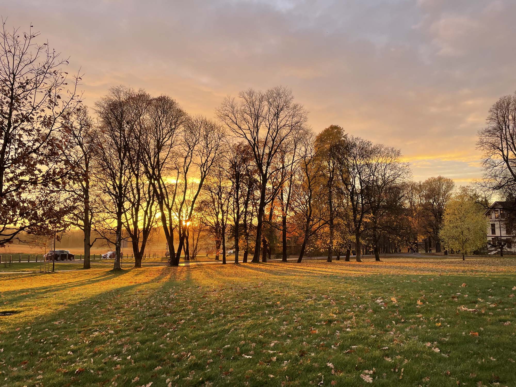 Lab life at NMBU photo