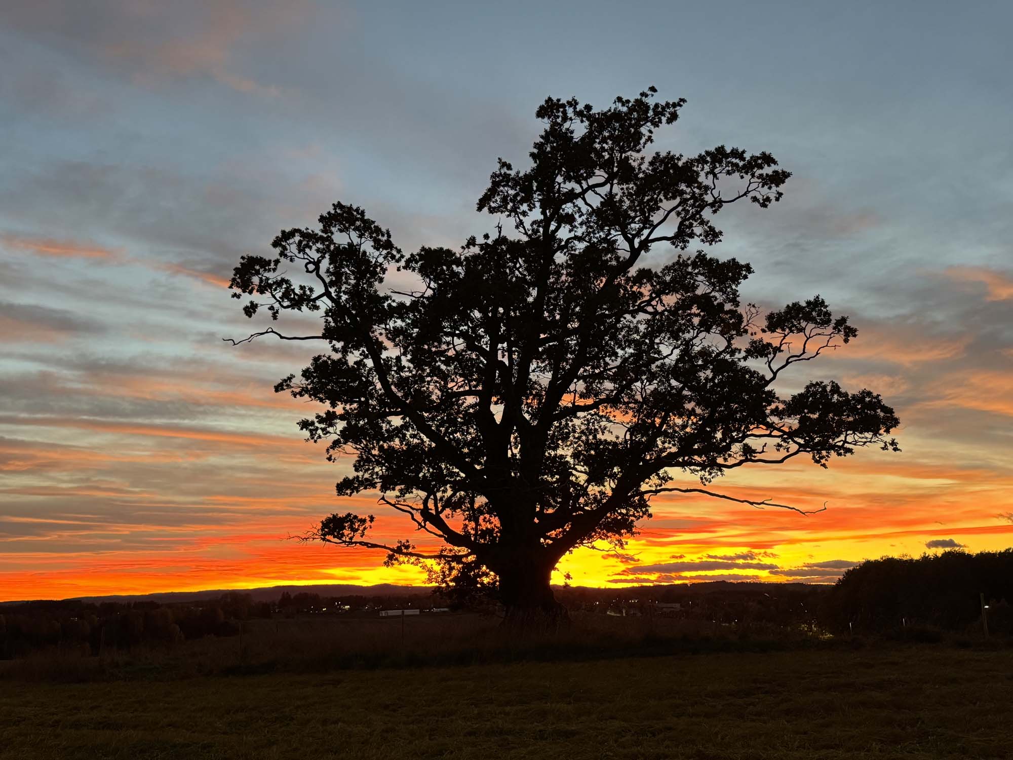 Lab life at NMBU photo