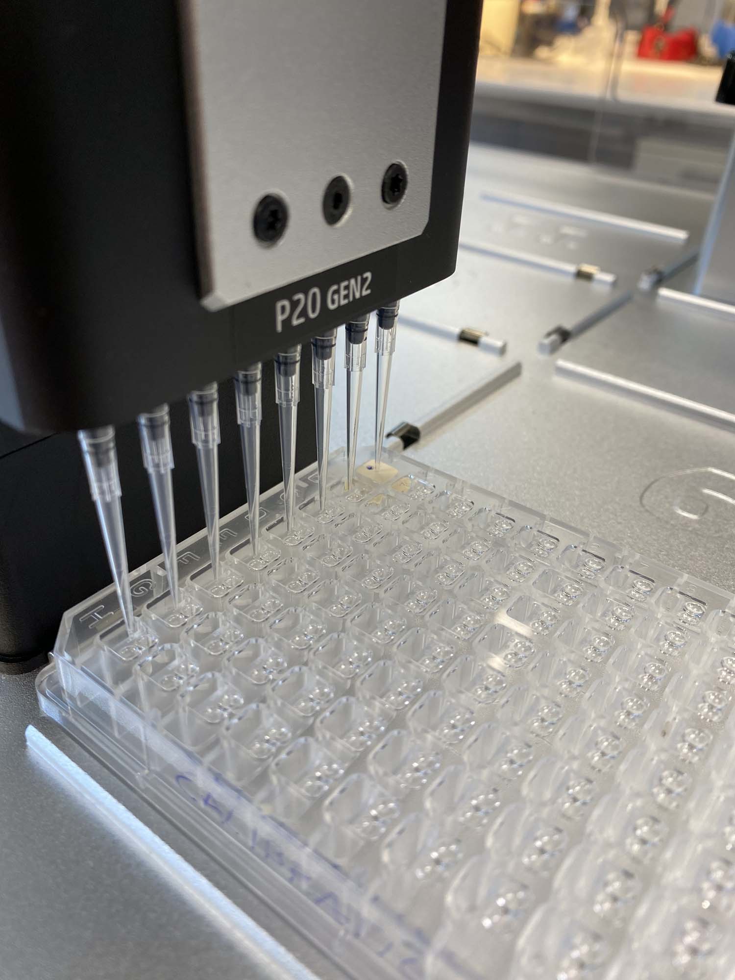 Lab life at NMBU photo